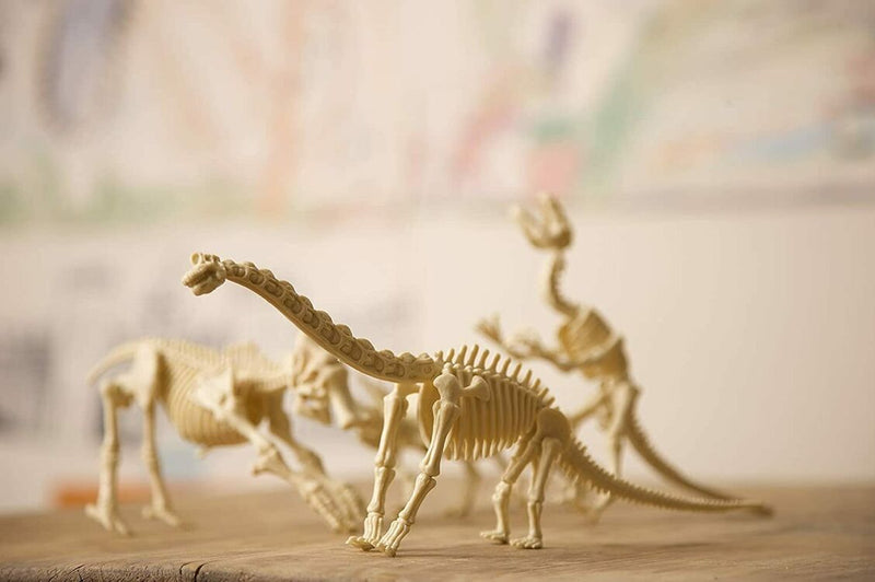 Excavation Kit: Dinosaur Skull - Kids Love Rocks